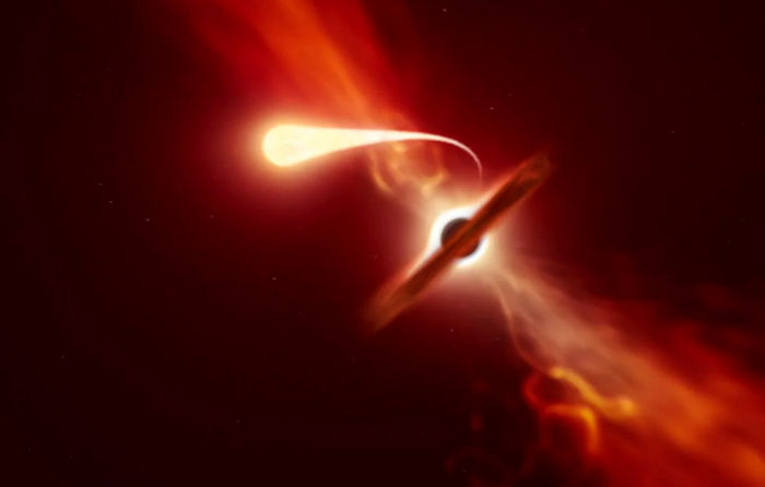 star stretched by black hole