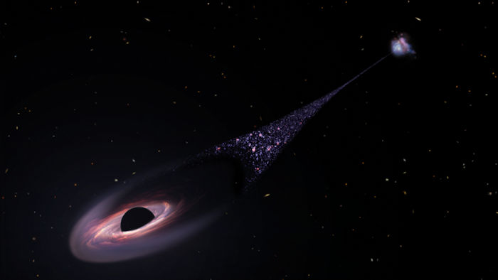 Black hole with star bridge