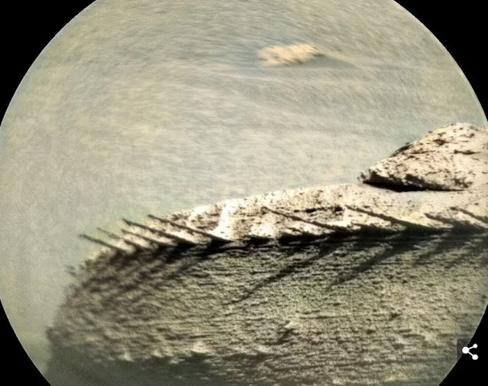Bone-like structure on Mars