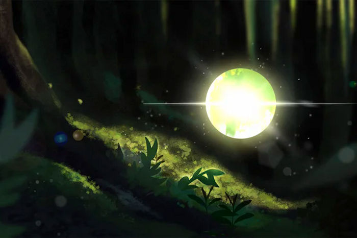 photosynthesis illustration