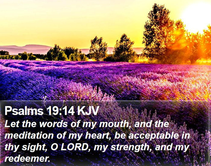 Psalm 19