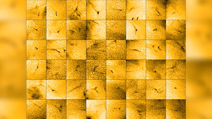 Solar mosaic