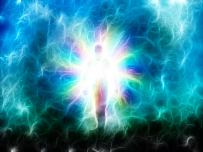 Vital Life Force