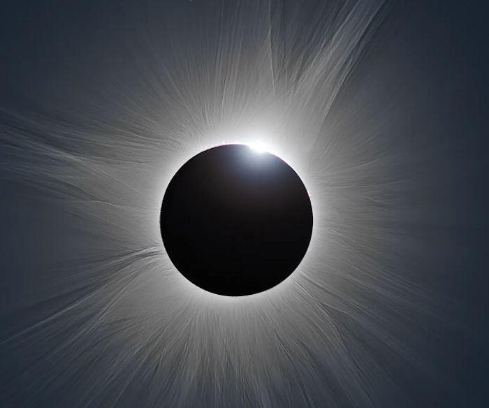 Solar filaments
